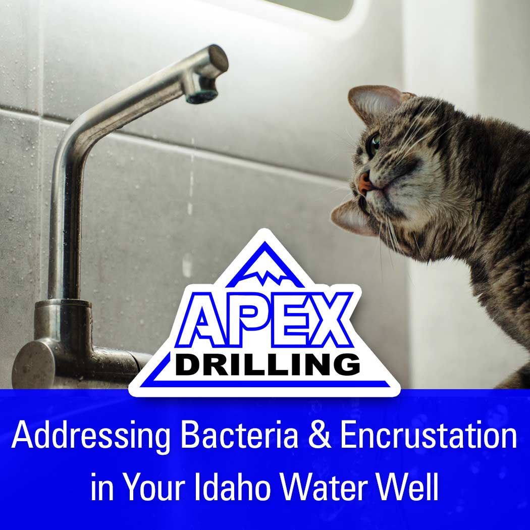 Addressing Bacteria and Encrustation in Your Idaho Water Well